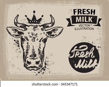 cow vector logo design template. beef, milk or farm icon