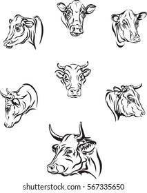 Cow, vector, portrait, silhouette, animals, design
