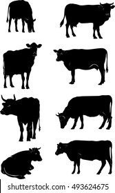 cow, vector, silhouette, animals, design