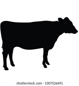 Cow vector silhouette isolated on white background. - Vector