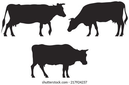 Cow vector silhouettes