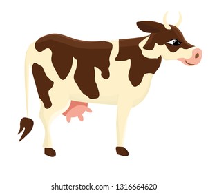 Cow. White cow with brown spots. Hoofed horned pet. Vector illustration