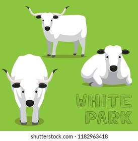 Cow White Park Cartoon Vector Illustration