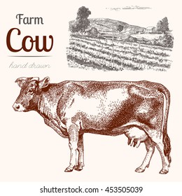 Cow-2. Animal Husbandry. Cow And Farm In Graphic Style From Hand Drawing Image. Set Of Vector Scetches.