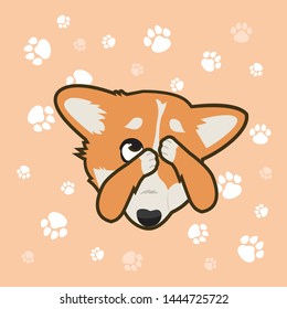 cowardly dog Corgi paws closes the face
