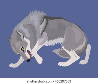 cowardly wolf with tail between its legs