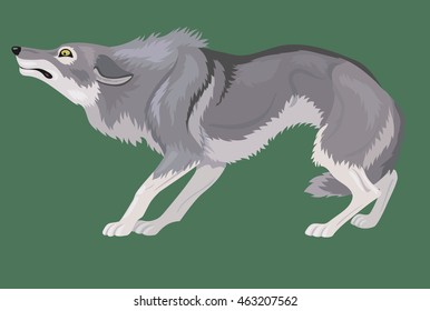 cowardly wolf with tail between its legs