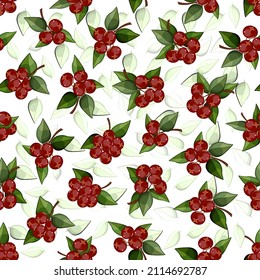 Cowberry berries in a vector pattern.Vector seamless pattern with cranberries on a transparent background.