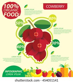 Cowberry. Infographic template. vector illustration.