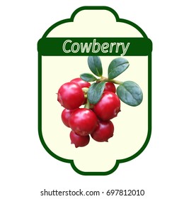 Cowberry label, vector illustration
