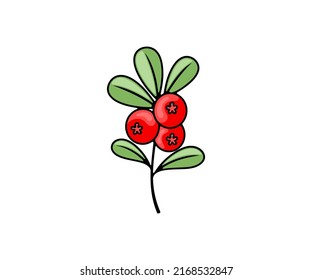 Cowberry, lingonberry, arándanos y foxberry, bayas, diseño vectorial e ilustración. Comida y alimentación, naturaleza, agricultura y agricultura, icono y logotipo