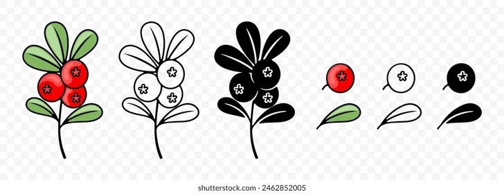 Cowberry, lingonberry, arándano rojo o arándano rojo, Diseño gráfico. Arándano rojo, bayas, arándano rojo o arándano rojo, diseño de Vector e ilustración