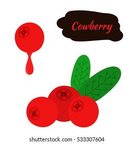 Cowberry, lingonberry in flat vector style. Sweet red forest berry. Cranberry.