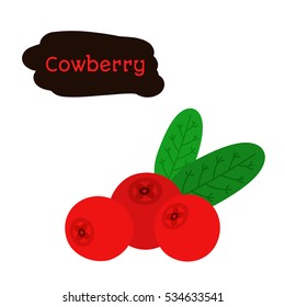 Cowberry, lingonberry in flat vector style. Sweet red forest berry. Cranberry.