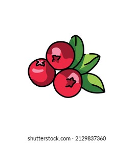 Cowberry plant color line icon. Pictogram for web page, mobile app, promo.