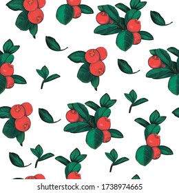 Cowberry seamless pattern, branch with leaves, red berries. Lingonberry botany illustration. Organic food.