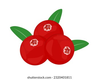 Cowberry summer wild berry and green leaves in flat illustration. Forest cranberries berries isolated on white background. Vector illustration of Lingonberry, partridgeberry, mountain cowberry.