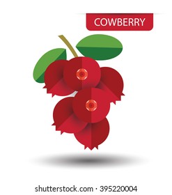Cowberry vector illustration