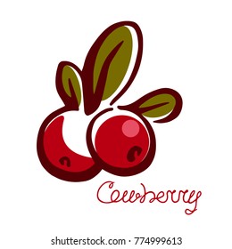Cowberry,Hand drawn graphics elements color illustration