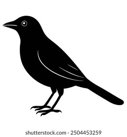 cowbird illustration vector image design