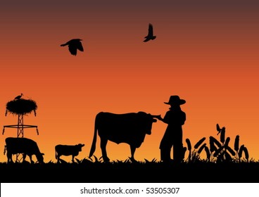 Cowboy in field