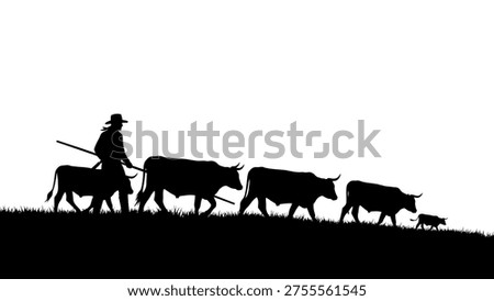 Cowboy herding cattle across grassy hill