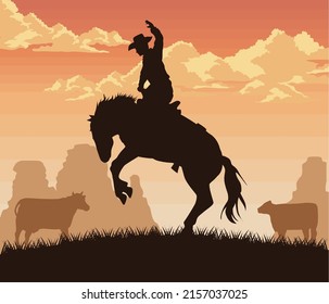 cowboy riding with cows scene