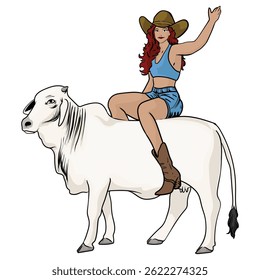 cowgirl is riding brahman cattle