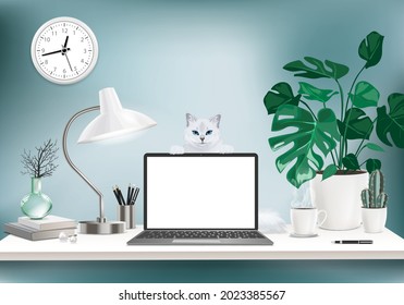 Co-working office interior with mock-up laptop, coffee cup, stationery, plants and  cat standing on a computer table.  Font view workspace vector editable illustration.