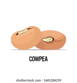 cowpea beans organic healthy vegetarian food on white background vector illustration