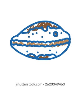 cowrie sea shell beach doodle icon sketch vector. cowrie sea shell beach sign. isolated symbol illustration