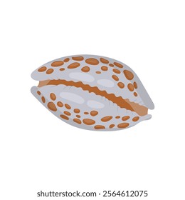 Cowrie Shell, African Symbols Illustration