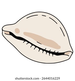 cowrie shell animal sea life nature flat color vector illustration template design
