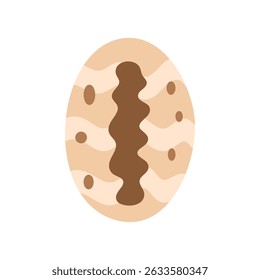 Cowrie shell with central slit pattern, light brown color