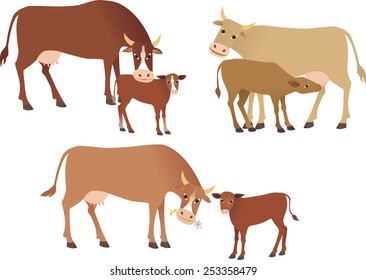 Cows