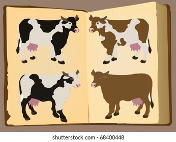 cows in the book pages