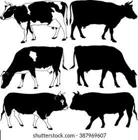 cows and bull silhouettes