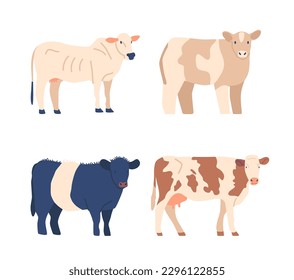 Cows And Bulls Different Breeds, Ideal For Farm And Animal Enthusiasts Or For Educational Purposes Cartoon Illustration