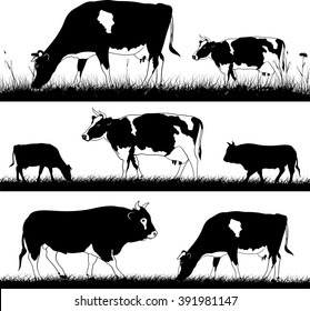 cows and bulls in the meadow - vector silhouettes