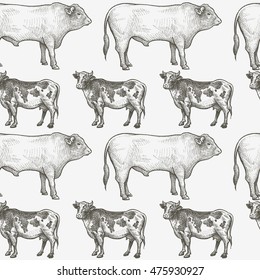 Cows and bulls. Seamless vector pattern with animals. Black and white illustration.