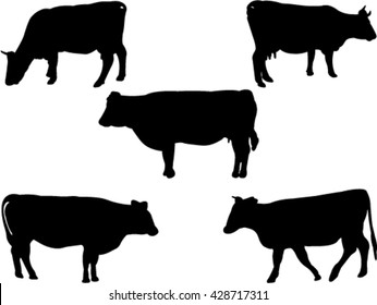 cows and bulls silhouette collection vector