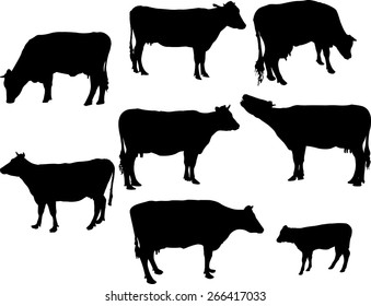 Vector Cow Calf Silhouettes Isolated On Stock Vector (Royalty Free ...