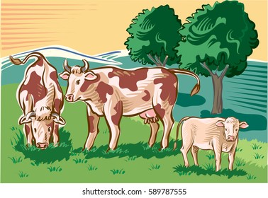 Cows and calf in the pasture