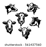 Cows Cattle Portraits silhouettes set