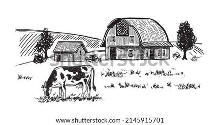 Cows chew grass, hand drawn illustrations. Dairy farm, vector.