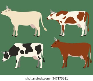 Cows of different colors vector set.