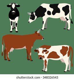 Cows of different colors vector set.