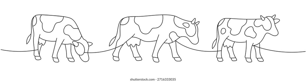 Vacas em poses diferentes. Elegante linha de desenho conjunto de gado pastando e andando
