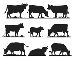 Cows In Different Poses Vector Set. Silhouettes Of Grass. Cow Grazing On Meadow.