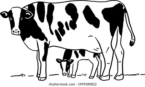 Cows Family Mom And Son Dairy Farm Milk Product Hand Drawn Illustration Sketch